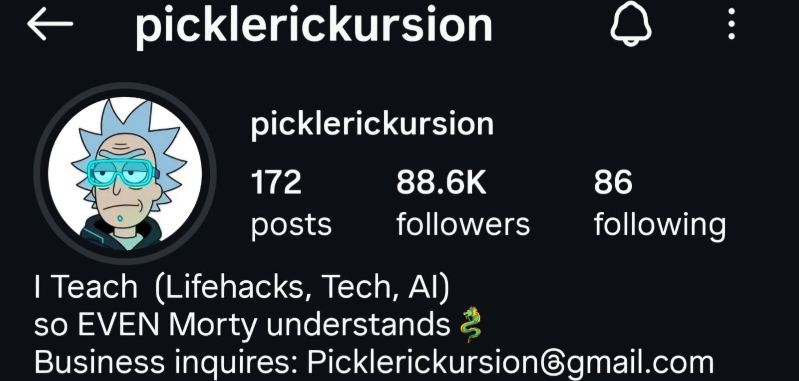 Pickle Rickursion Instagram profile